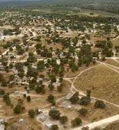 EasternSavannaGrasslands